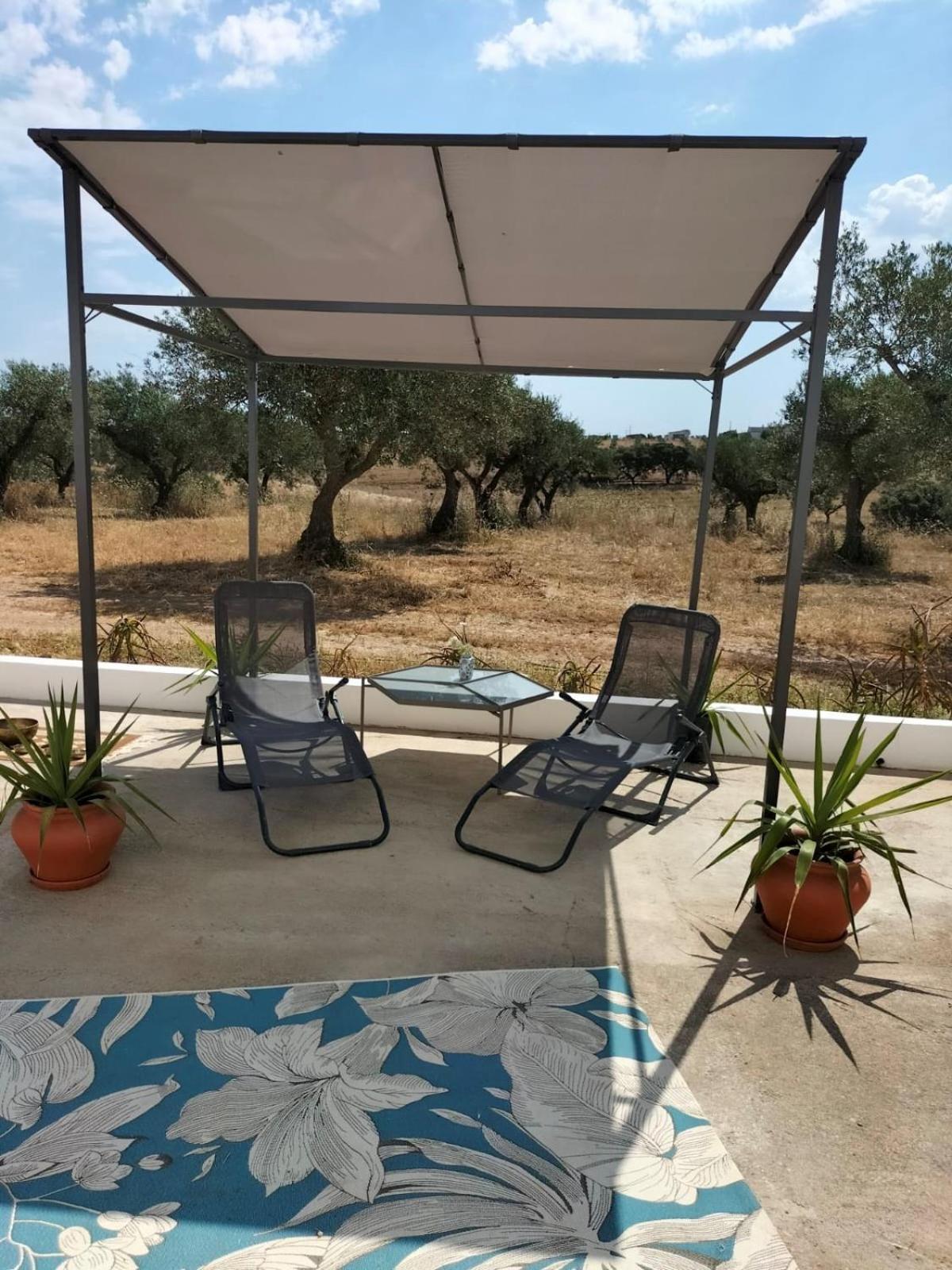 Quinta Monte Da Azinheira Bed & Breakfast Amareleja Eksteriør bilde