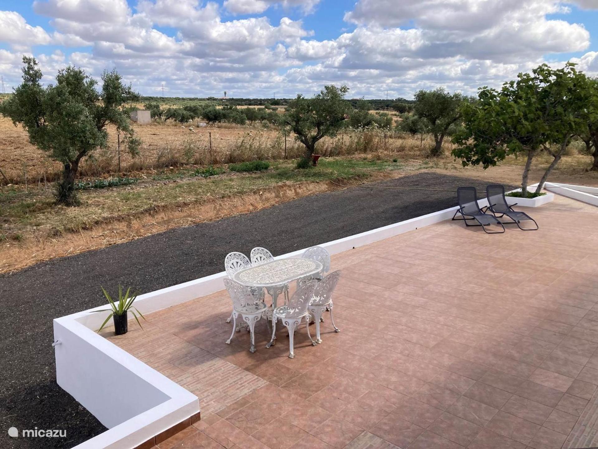 Quinta Monte Da Azinheira Bed & Breakfast Amareleja Eksteriør bilde